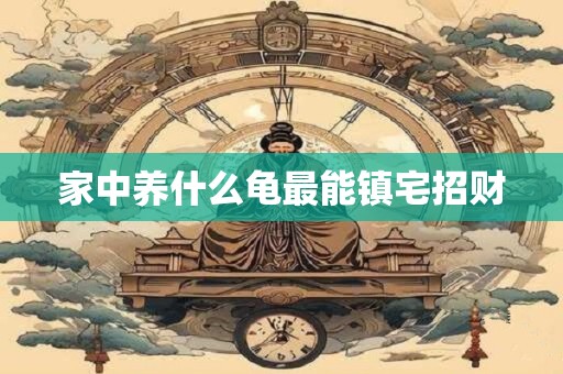 家中养什么龟最能镇宅招财