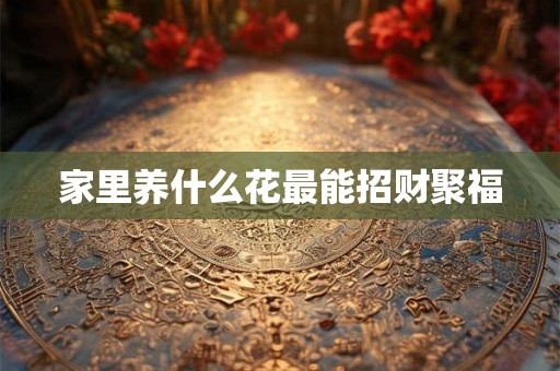家里养什么花最能招财聚福