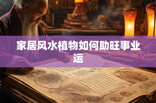 家居风水植物如何助旺事业运