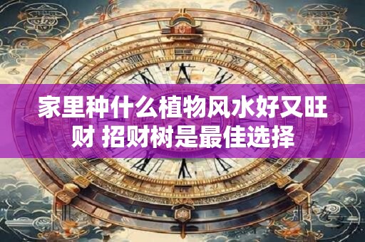 家里种什么植物风水好又旺财 招财树是最佳选择