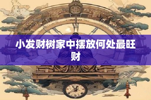 小发财树家中摆放何处最旺财