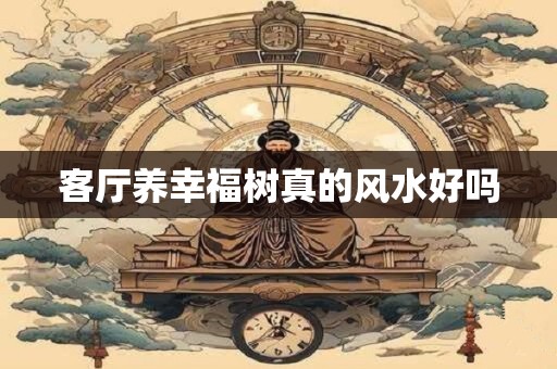 客厅养幸福树真的风水好吗