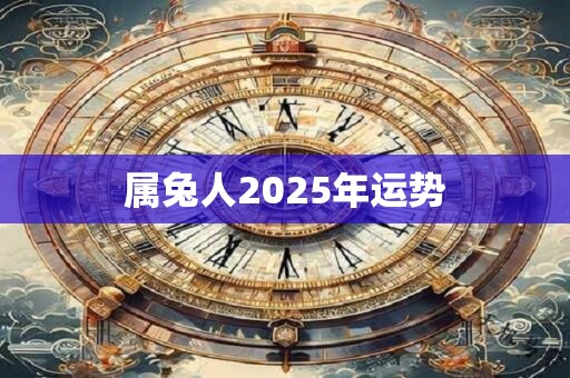 属兔人2025年运势