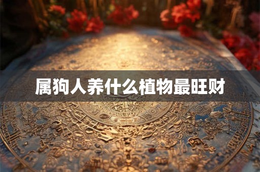 详细阅读:属狗人养什么植物最旺财 属狗人养什么植物最旺财