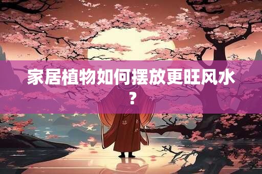 家居植物如何摆放更旺风水？