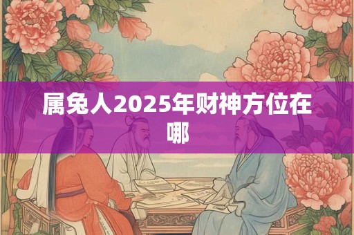 属兔人2025年财神方位在哪