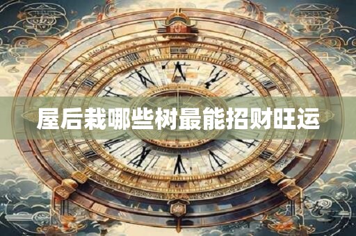 屋后栽哪些树最能招财旺运