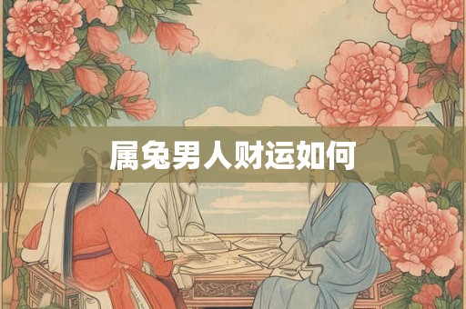 属兔男人财运如何