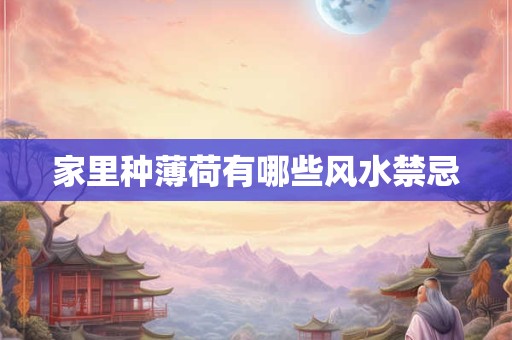 家里种薄荷有哪些风水禁忌