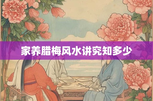 家养腊梅风水讲究知多少