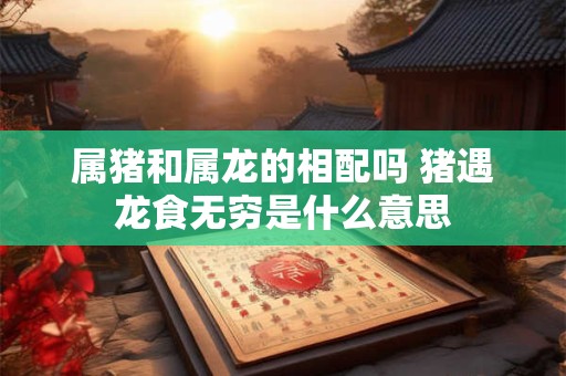 属猪和属龙的相配吗 猪遇龙食无穷是什么意思