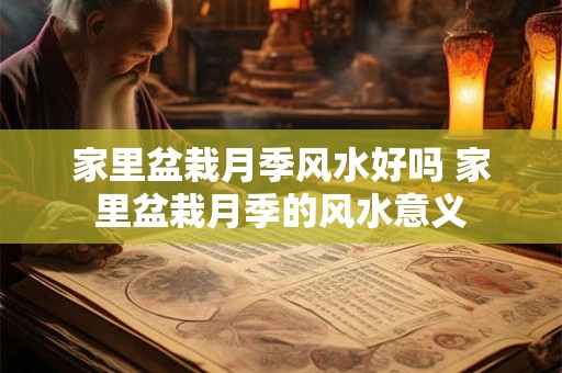 家里盆栽月季风水好吗 家里盆栽月季的风水意义