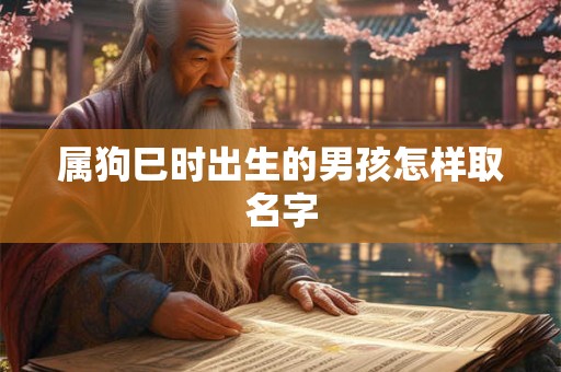 属狗巳时出生的男孩怎样取名字