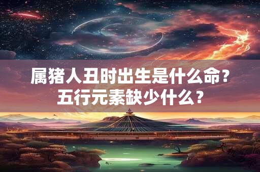属猪人丑时出生是什么命？五行元素缺少什么？