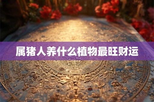 属猪人养什么植物最旺财运
