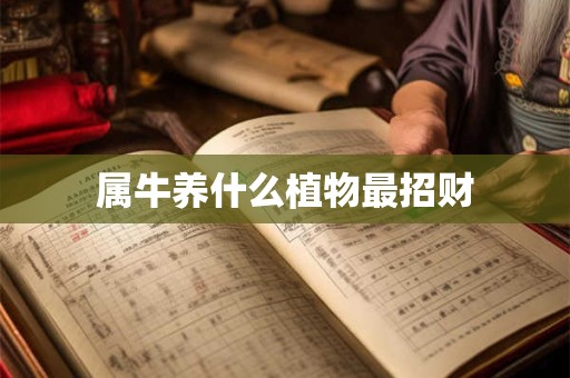 属牛养什么植物最招财