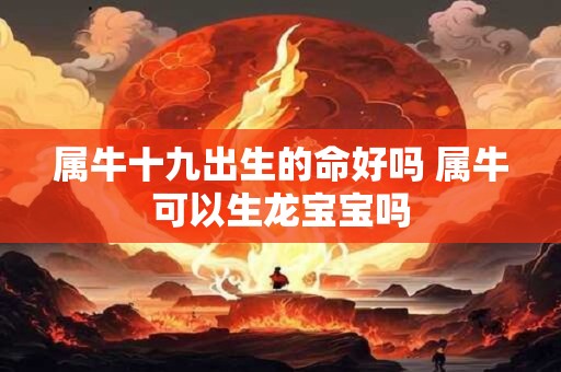 属牛十九出生的命好吗 属牛可以生龙宝宝吗