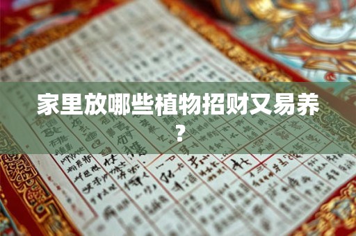 家里放哪些植物招财又易养？