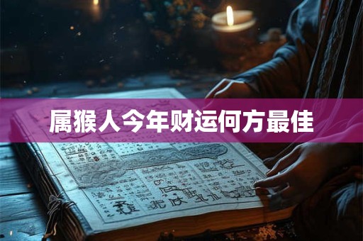 属猴人今年财运何方最佳
