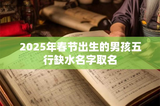 2025年春节出生的男孩五行缺水名字取名 2025年春节出生的男孩五行缺水名字取名