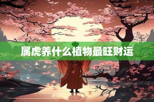 属虎养什么植物最旺财运