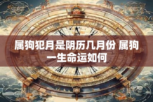 属狗犯月是阴历几月份 属狗一生命运如何