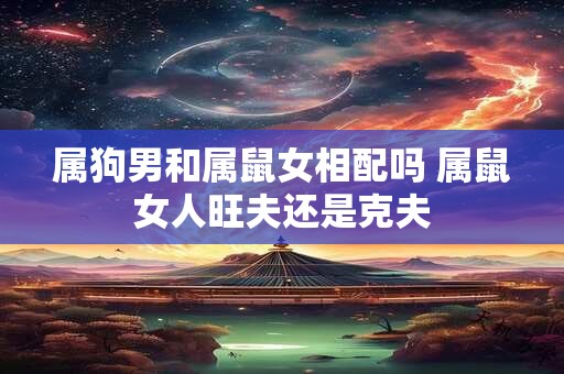 属狗男和属鼠女相配吗 属鼠女人旺夫还是克夫
