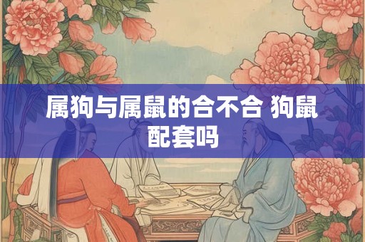 属狗与属鼠的合不合 狗鼠配套吗