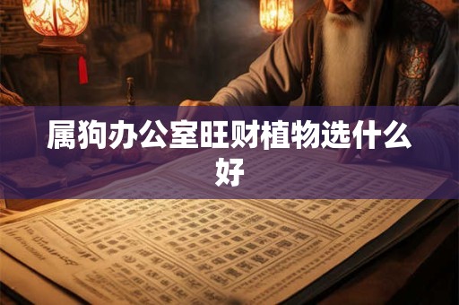 属狗办公室旺财植物选什么好