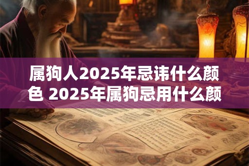 属狗人2025年忌讳什么颜色 2025年属狗忌用什么颜色
