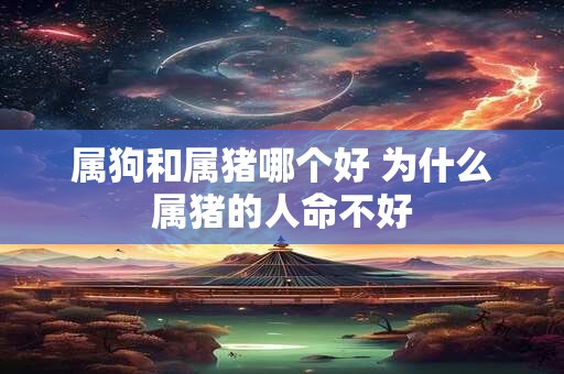 属狗和属猪哪个好 为什么属猪的人命不好