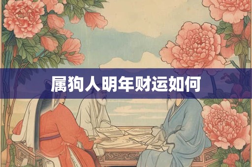 属狗人明年财运如何