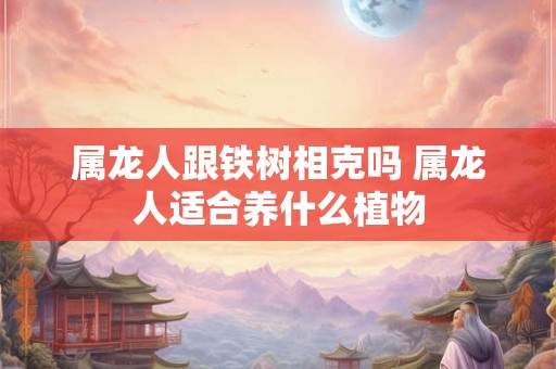 属龙人跟铁树相克吗 属龙人适合养什么植物