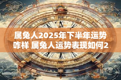 属兔人2025年下半年运势咋样 属兔人运势表现如何2025