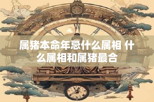 属猪本命年忌什么属相 什么属相和属猪最合