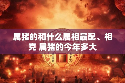 属猪的和什么属相最配、相克 属猪的今年多大
