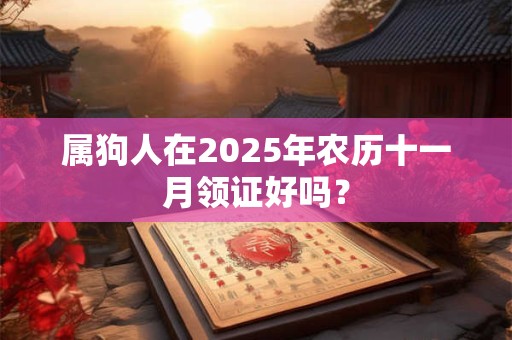属狗人在2025年农历十一月领证好吗？