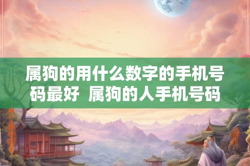 属狗的用什么数字的手机号码最好  属狗的人手机号码哪几位数好