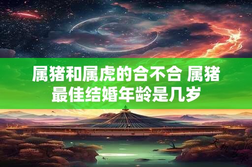 属猪和属虎的合不合 属猪最佳结婚年龄是几岁