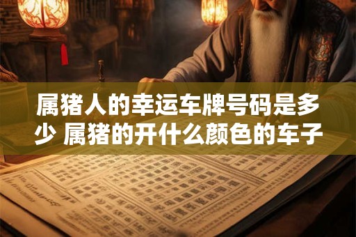 属猪人的幸运车牌号码是多少 属猪的开什么颜色的车子最吉利