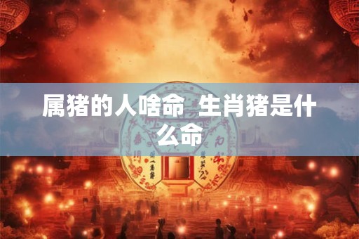 属猪的人啥命  生肖猪是什么命