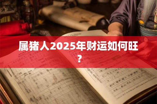 属猪人2025年财运如何旺？