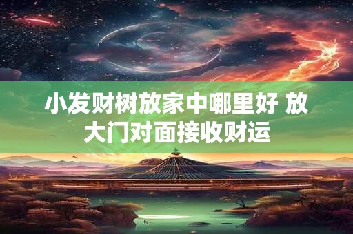 小发财树放家中哪里好 放大门对面接收财运