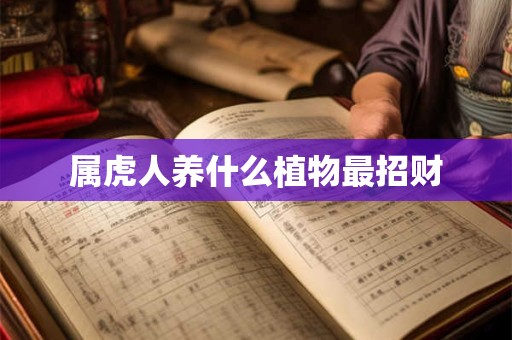 属虎人养什么植物最招财
