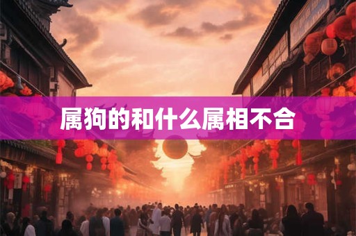 属狗的和什么属相不合