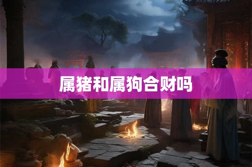 属猪和属狗合财吗