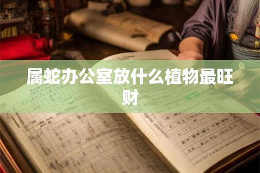 属蛇办公室放什么植物最旺财