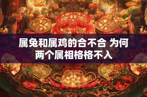 属兔和属鸡的合不合 为何两个属相格格不入