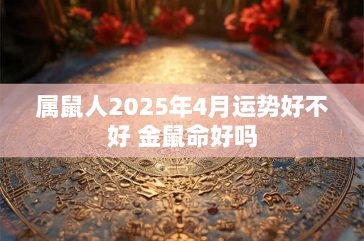 属鼠人2025年4月运势好不好 金鼠命好吗 属鼠人2025年4月运势好不好 金鼠命好吗