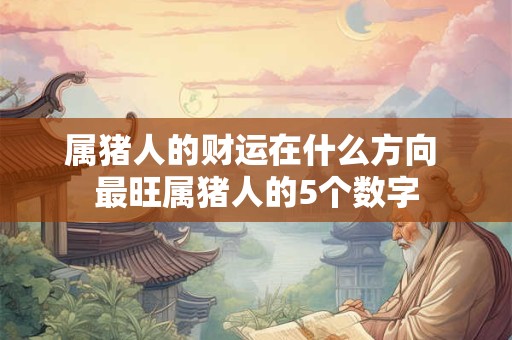 属猪人的财运在什么方向 最旺属猪人的5个数字